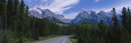 Two lane highway passing through a landscape, Alberta by Panoramic Images art print