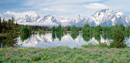 Spring Grand Teton National Park WY by Panoramic Images art print