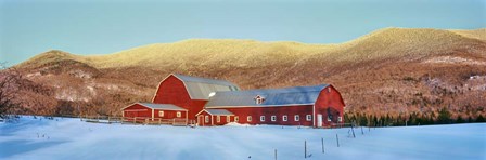 Barn in snow covered field, Vermont by Panoramic Images art print
