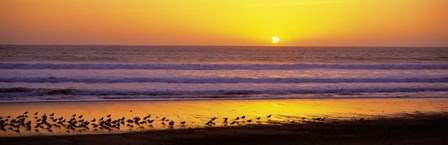 Sunset near Santa Cruz by Panoramic Images art print