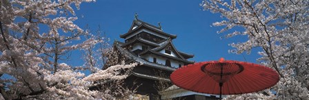 Cherry Blossom Matsue Castle Japan by Panoramic Images art print
