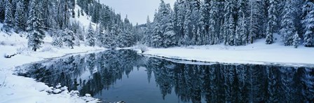 Winter Stream Tahoe by Panoramic Images art print