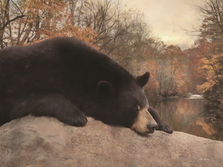 Don&#39;t Poke the Bear by Lori Deiter art print
