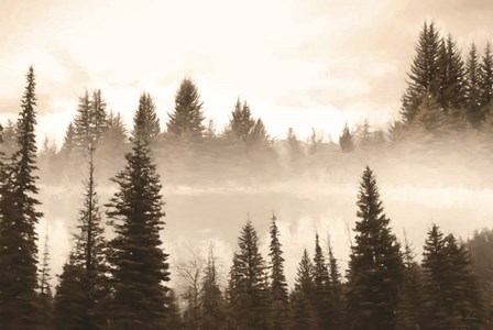 Fog in the Forest by Lori Deiter art print