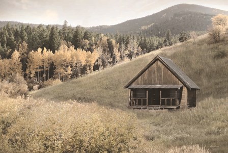 Mountain Hunting Cabin by Lori Deiter art print