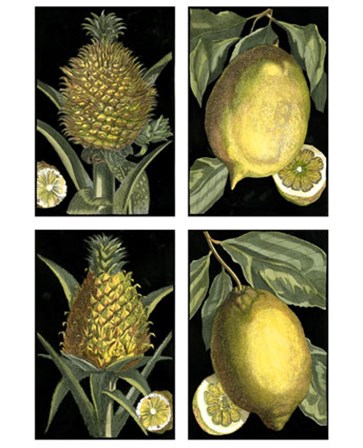 Miniature Fruit art print