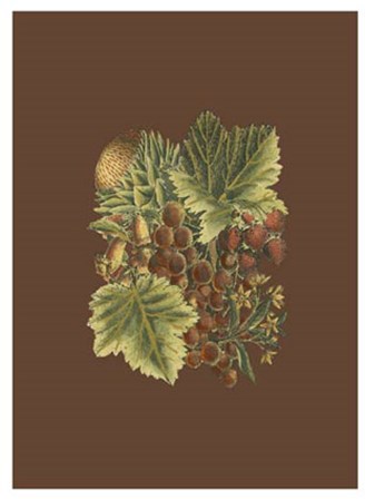 Fruit on Burgundy II art print