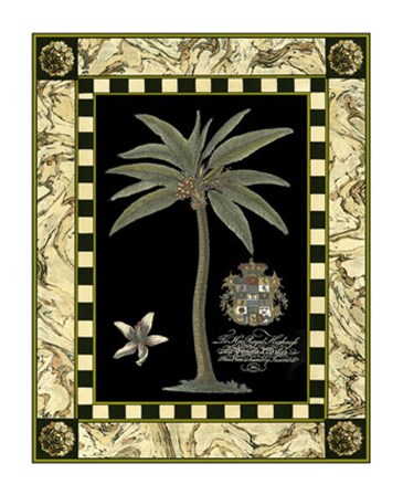 Bordered Palms on Black I by Vision Studio art print