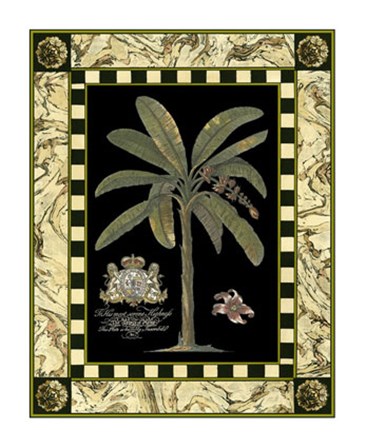 Bordered Palms on Black II by Vision Studio art print
