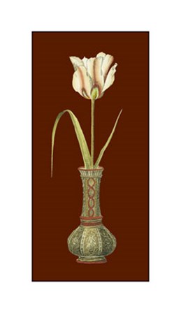 Tulip in Vase IV art print
