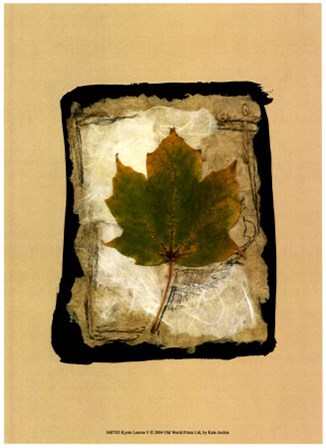 Kyoto Leaves V by Kate Archie art print