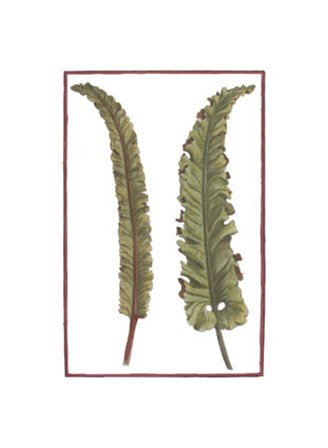 Vintage Leaf I by Vision Studio art print