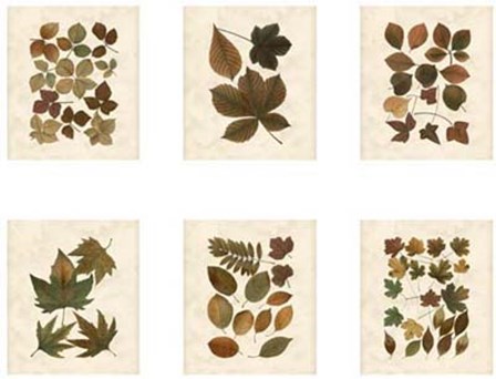 Lodge Leaf Collection art print