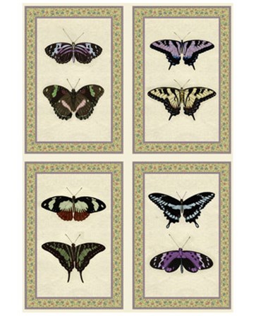 Miniature Butterflies art print