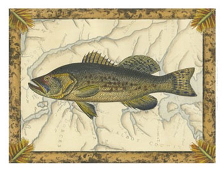 Black Bass on Map by Vision Studio art print