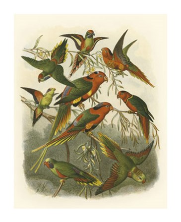Red Cassel Birds I by Cassell art print
