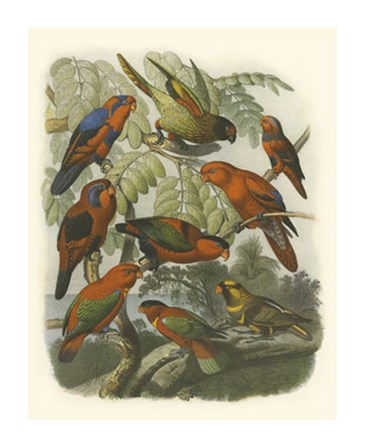 Red Cassel Birds II by Cassell art print