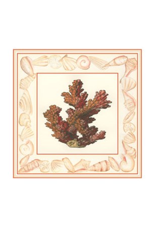 Coral with Shell Border II by Vision Studio art print