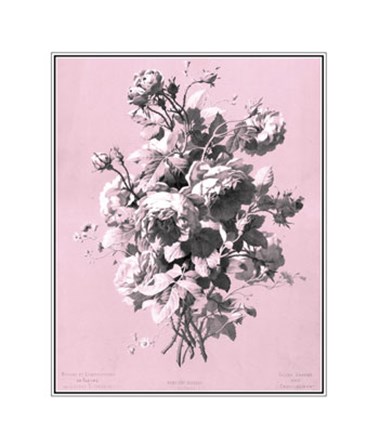 Roses on Pink by Dussurgey art print