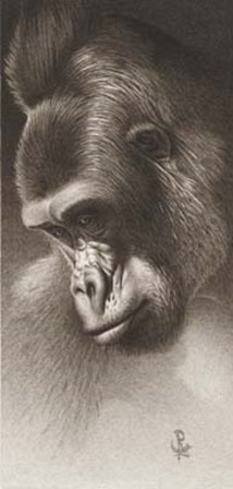 Silver Back, The Gorilla by Frank Caldwell art print