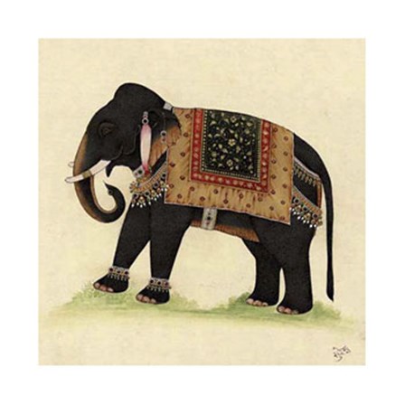 Elephant from India II by Illuminations art print