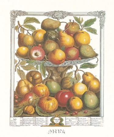February/Twelve Months of Fruits, 1732 by Robert Furber art print