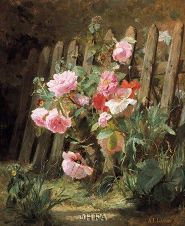 Pink Roses by a Garden Fence by Alfred-frederic Lauron art print