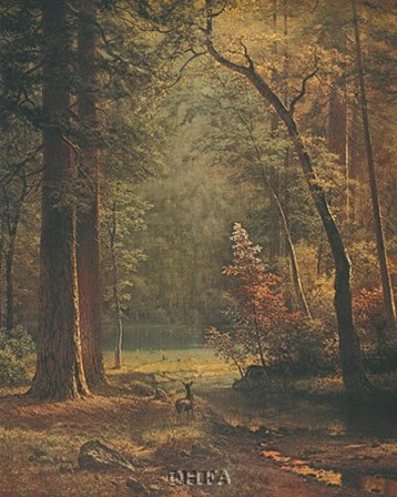 Dogwood by Albert Bierstadt art print