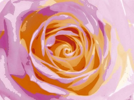 Rose Variation II by Tasmin Phoenix art print