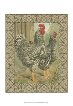 Cassell&#39;s Roosters with Border II by Cassell art print