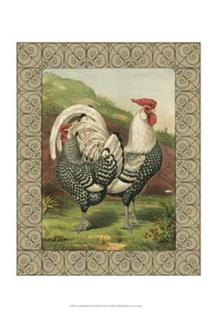 Cassell&#39;s Roosters with Border III by Cassell art print