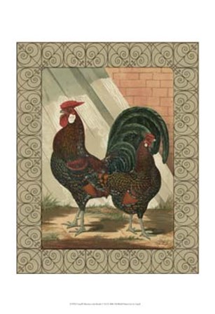 Cassell&#39;s Roosters with Border V by Cassell art print