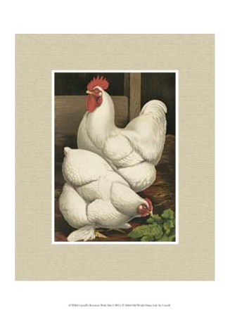 Cassell&#39;s Roosters with Mat I by Cassell art print