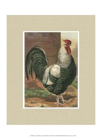 Cassell&#39;s Roosters with Mat IV by Cassell art print