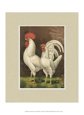 Cassell&#39;s Roosters with Mat VI by Cassell art print