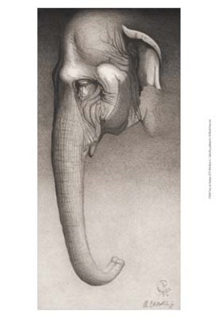 Toni, the Elephant by Robert L. Caldwell art print
