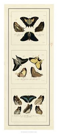 Antique Butterfly Panel I by Jablonsk art print