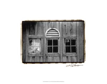 Barn Windows #1 by Laura Denardo art print