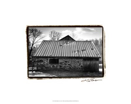 Barn Windows #3 by Laura Denardo art print