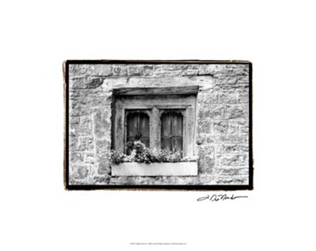 Window Flowers by Laura Denardo art print