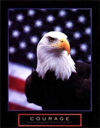 Courage - Eagle Flag art print