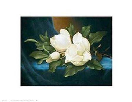 Magnolias by Paul Cordsen art print