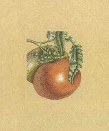 Tomatoes by John W. Hope art print
