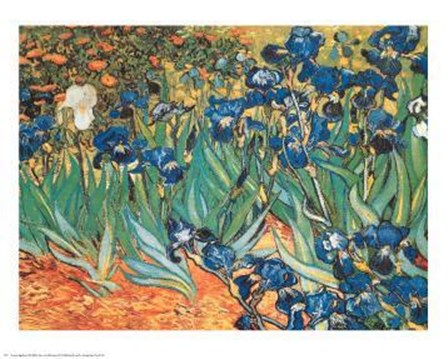 Iris Garden by Vincent Van Gogh art print