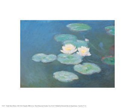 Nympheas Effet Du Soir by Claude Monet art print