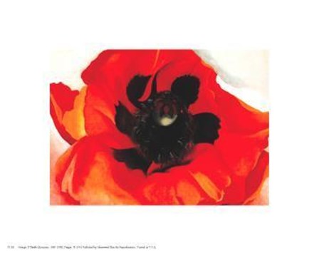 Poppy by Georgia O&#39;Keeffe art print