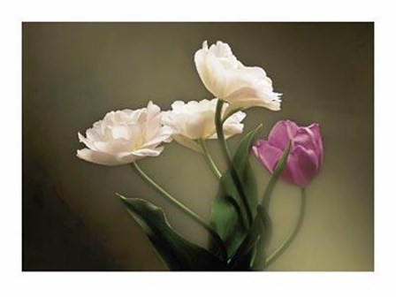 Tulips by Don Mason art print