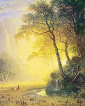 Hetch Hetchy Canyon by Albert Bierstadt art print