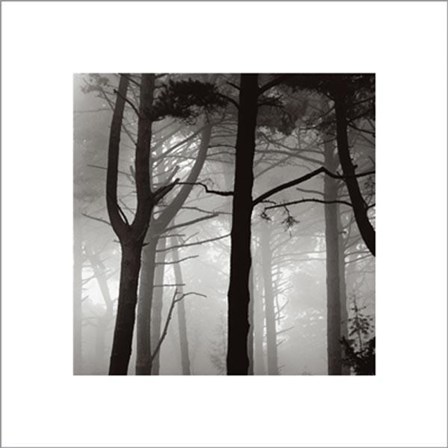 Forest I by Nicholas Pavloff art print