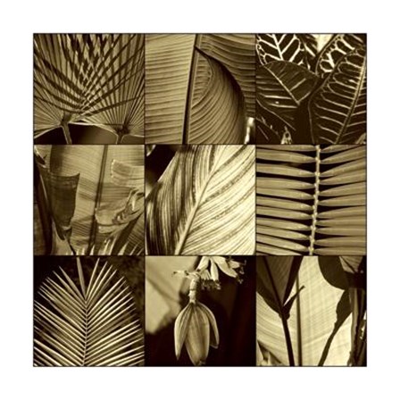 Tropical Leaves I by John Kelly art print